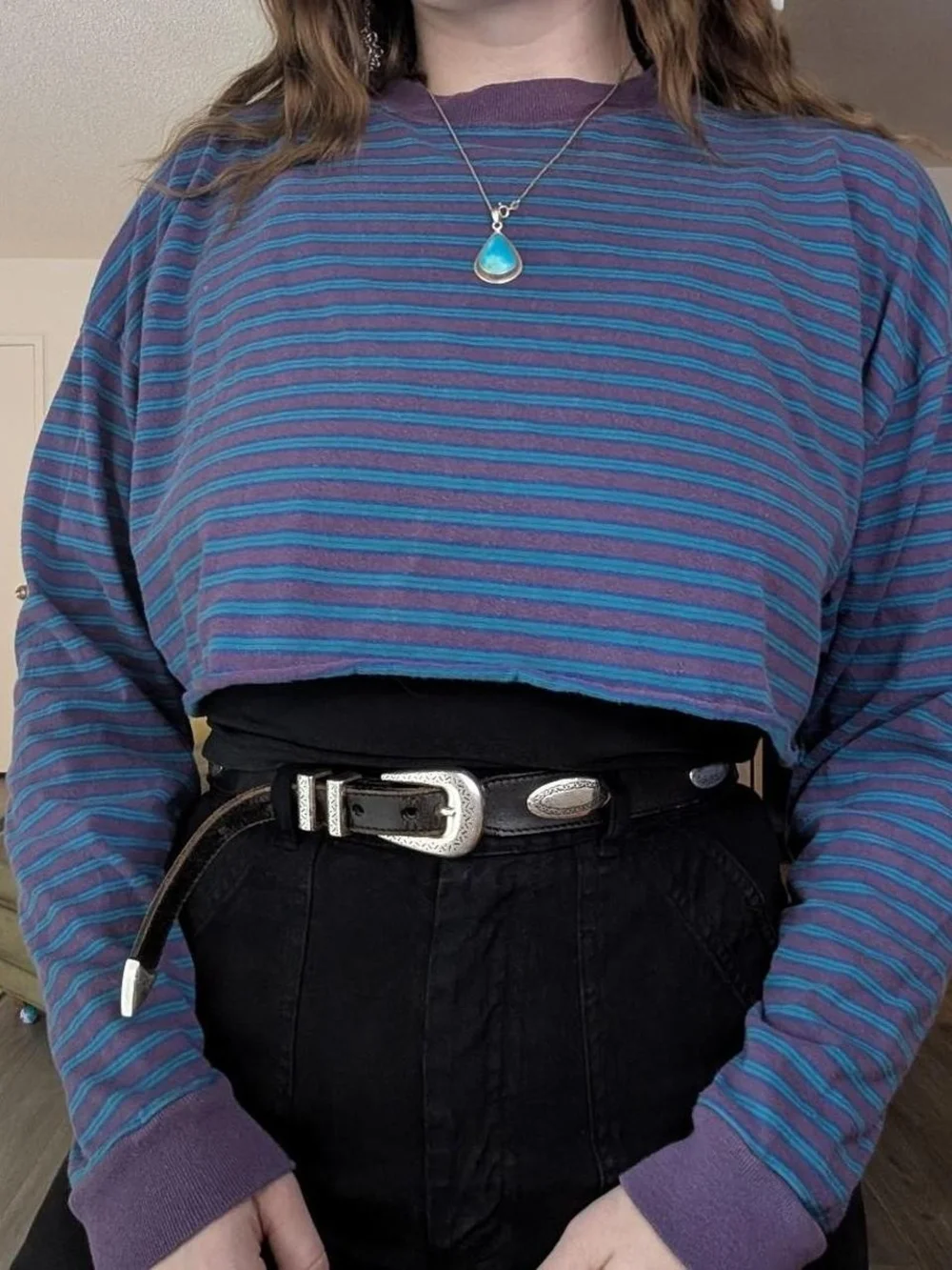 BDG Striped Teal & Purple Cropped Long-Sleeve Top